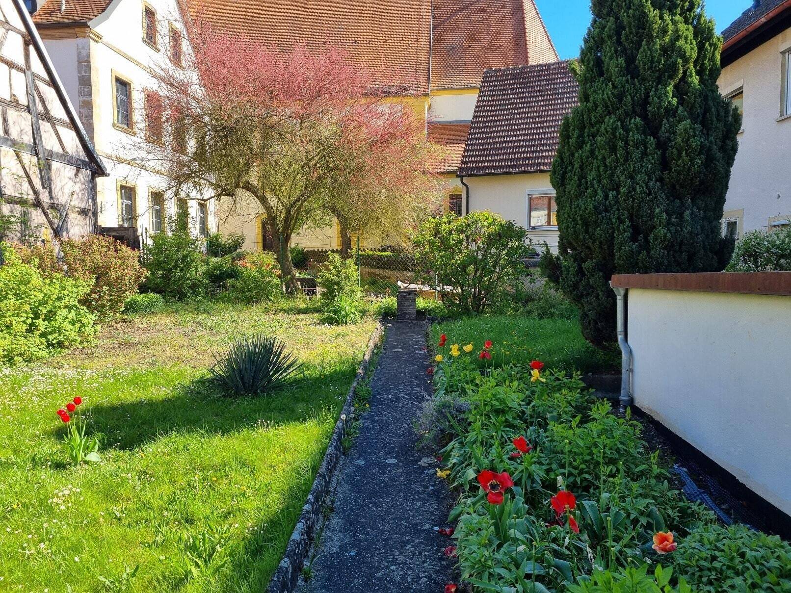 Bild 15