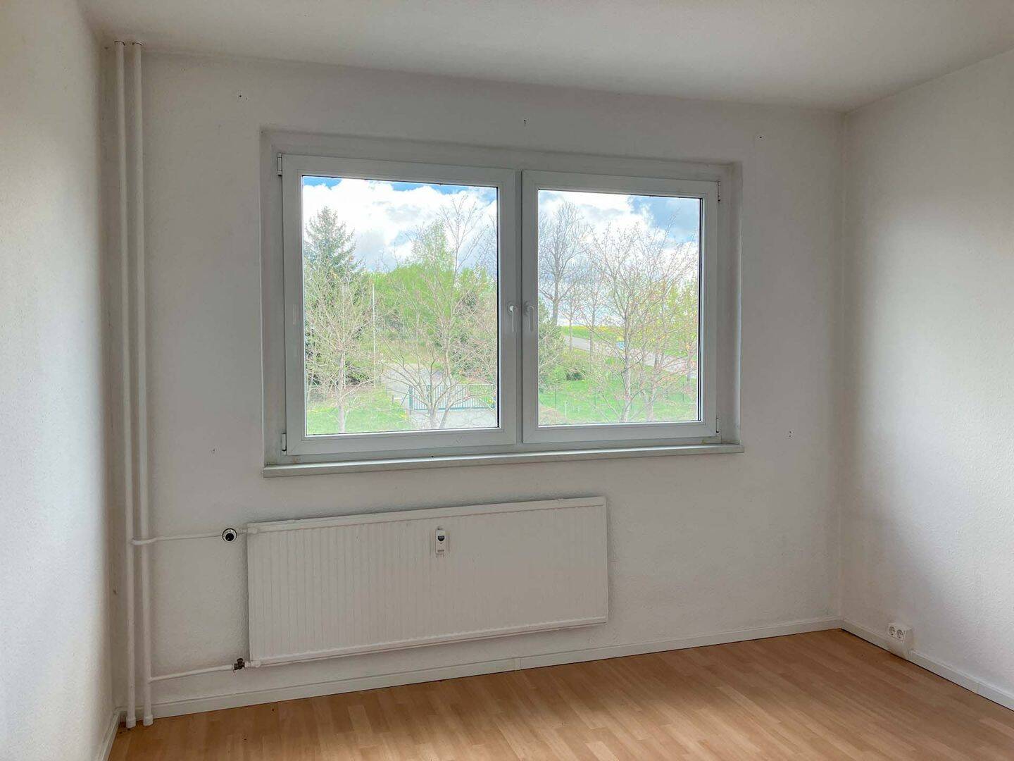 Bild 15