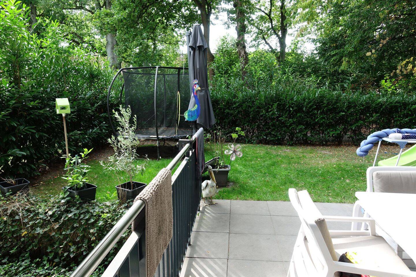 Bild 7