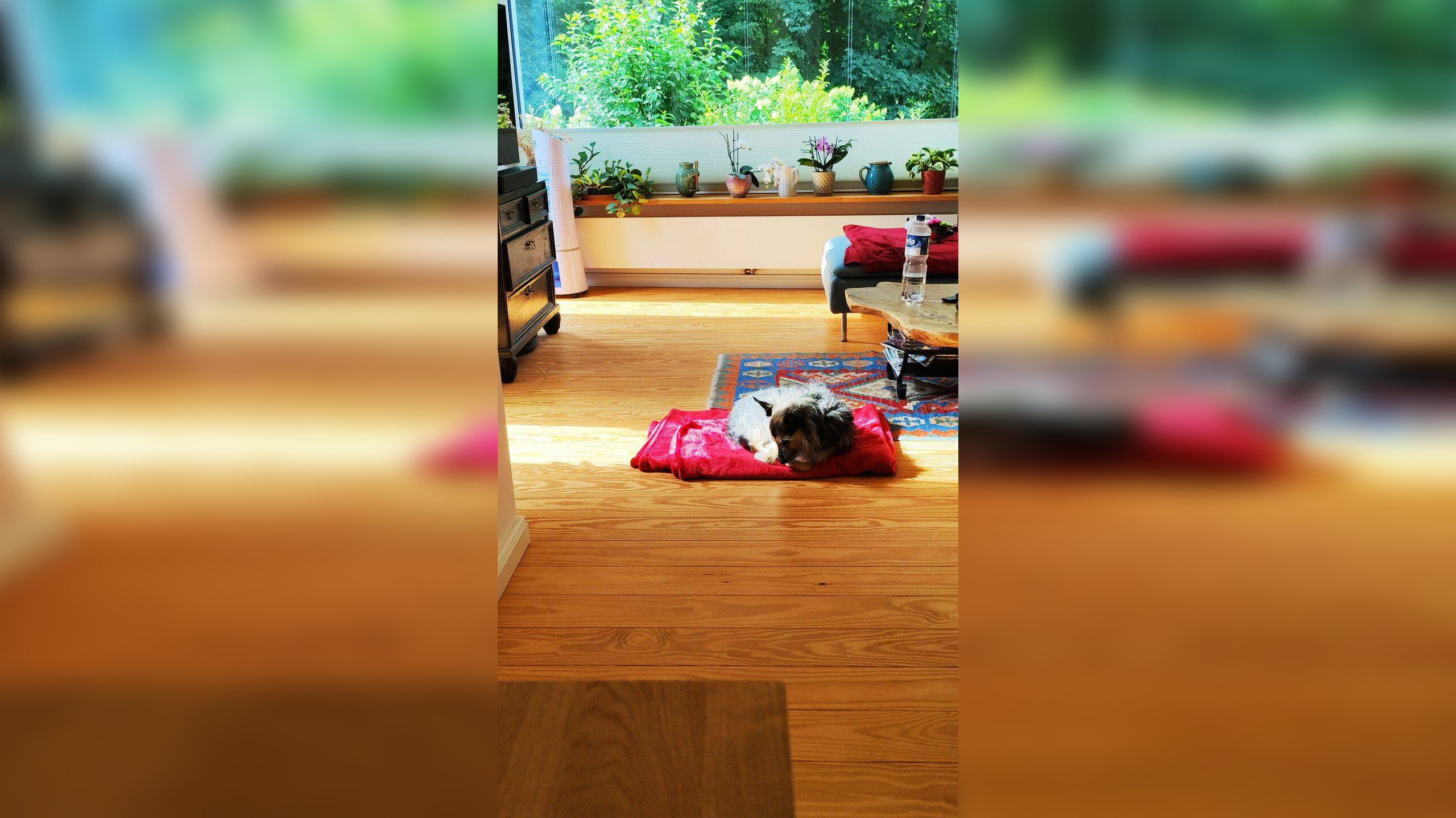 Bild 6
