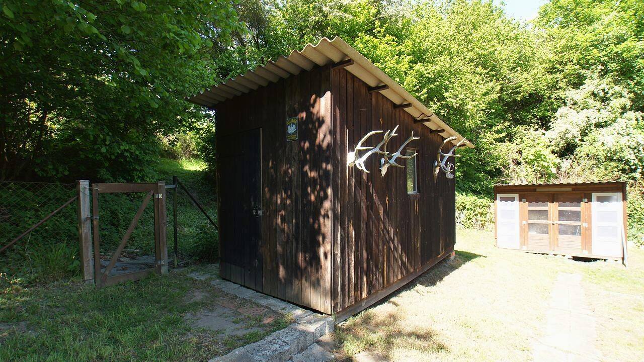 Bild 7