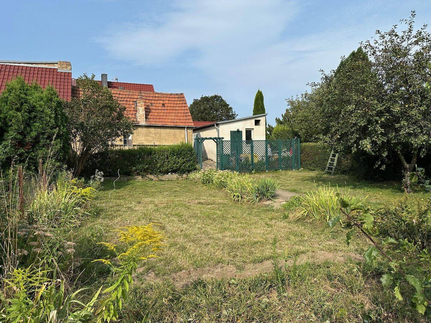 Bild 8