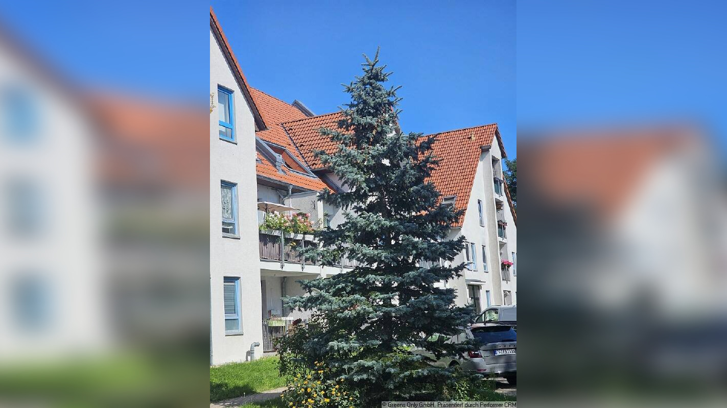 Bild 8