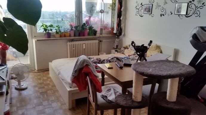 Bild 7