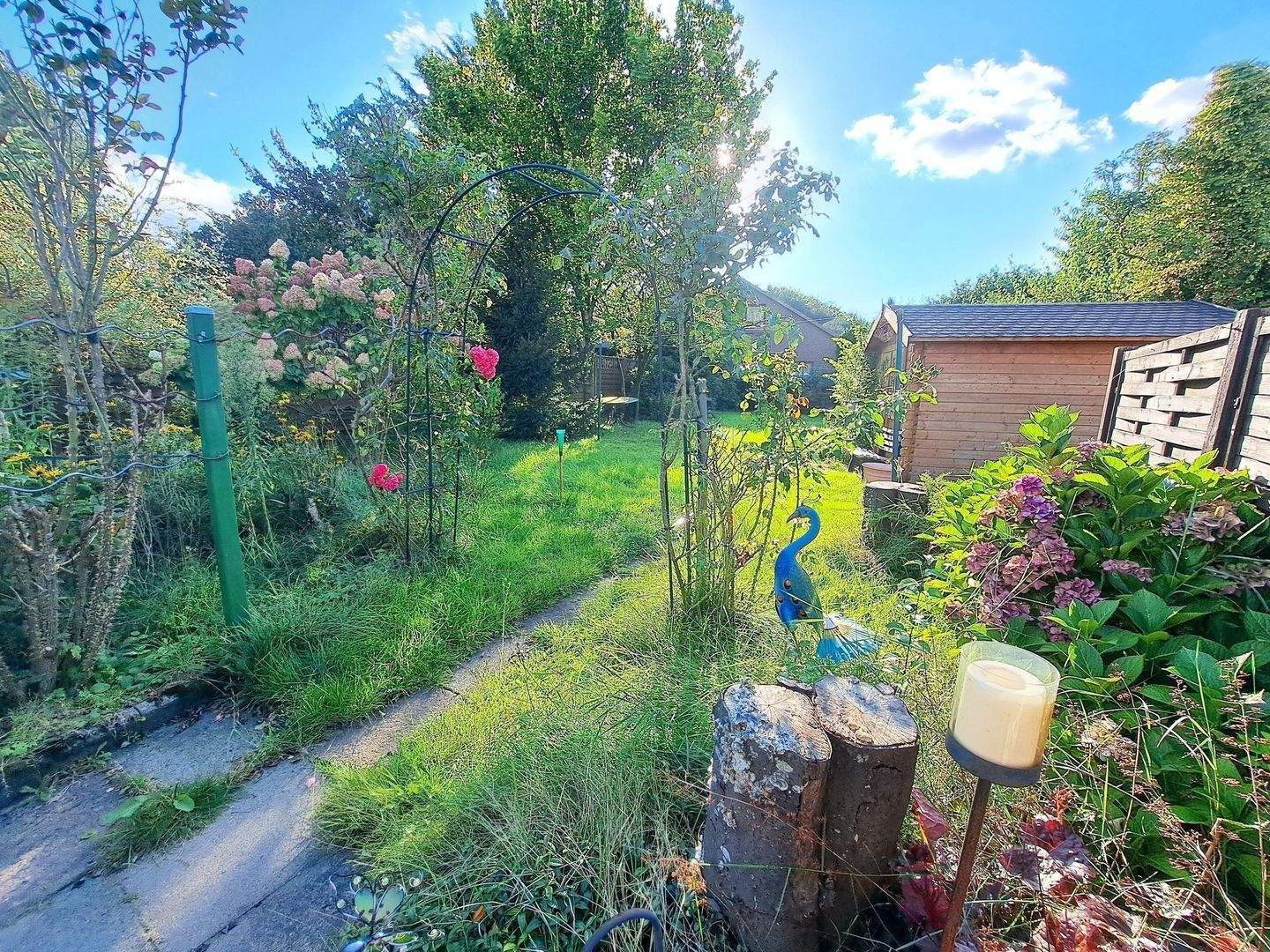 Bild 6