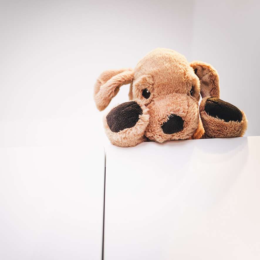 Bild 11