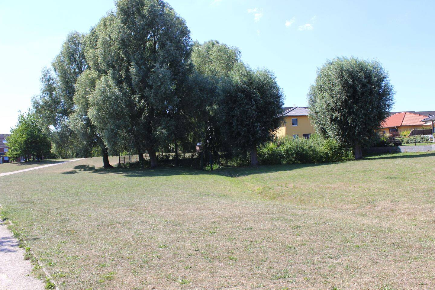 Bild 7