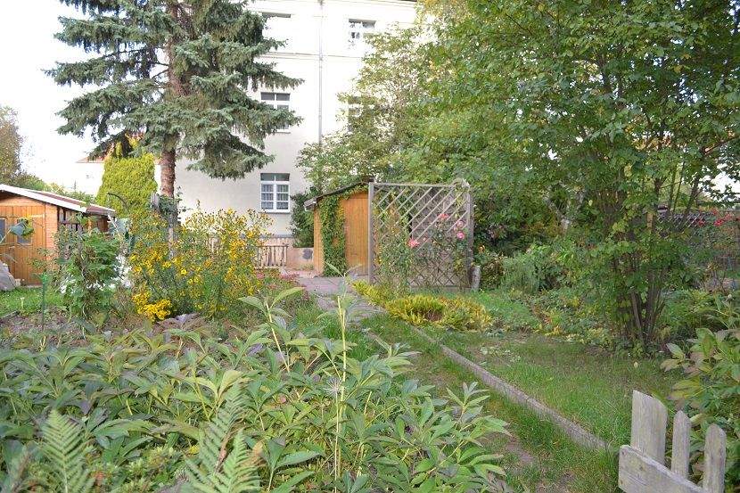 Bild 7
