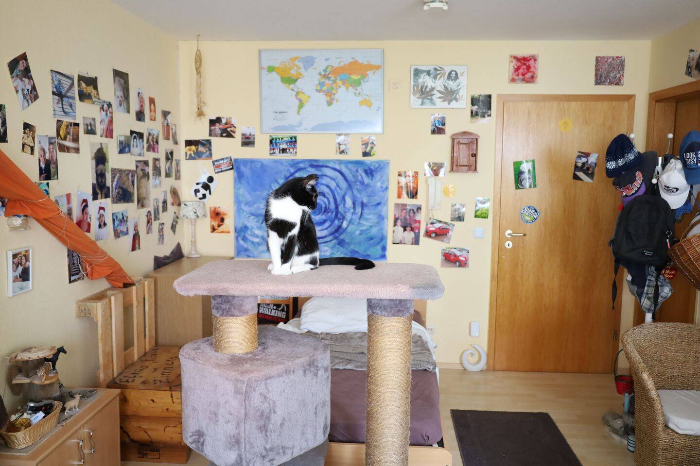 Bild 4