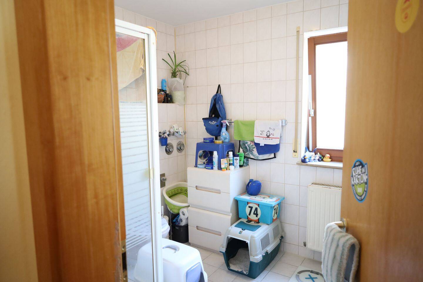 Bild 8