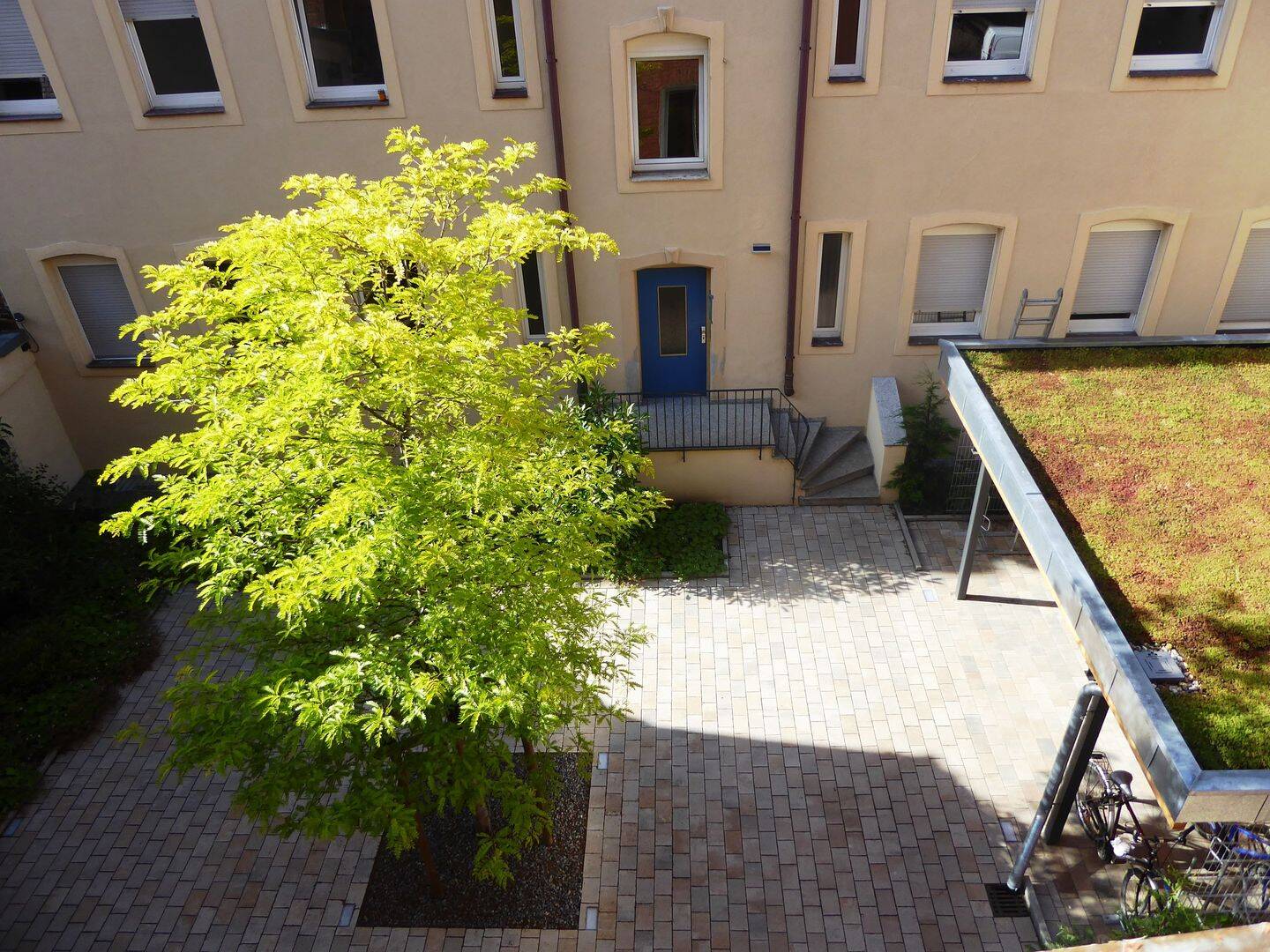 Bild 11