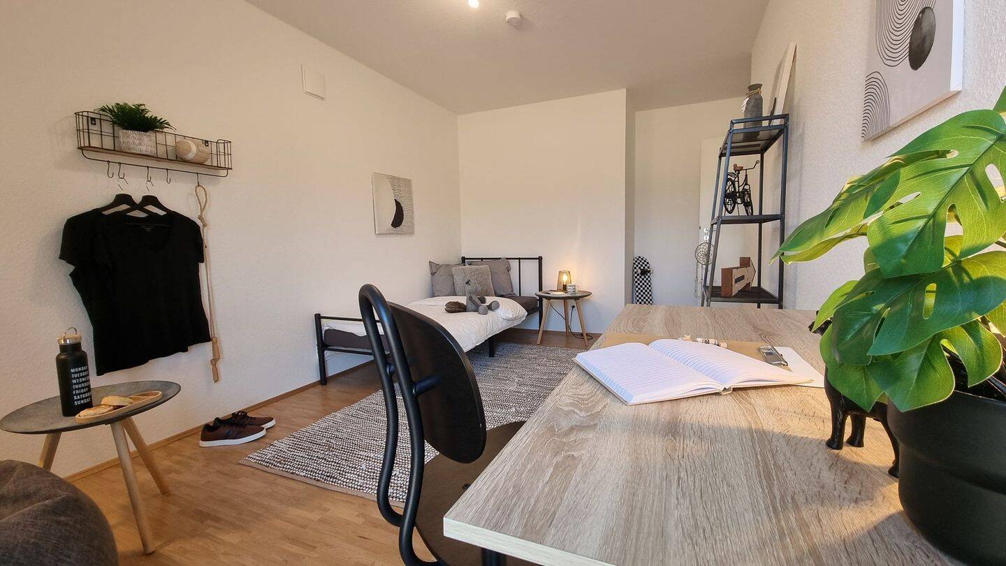 Bild 8