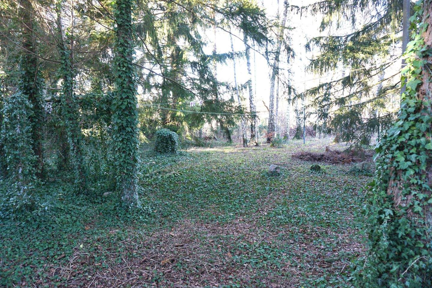 Bild 10