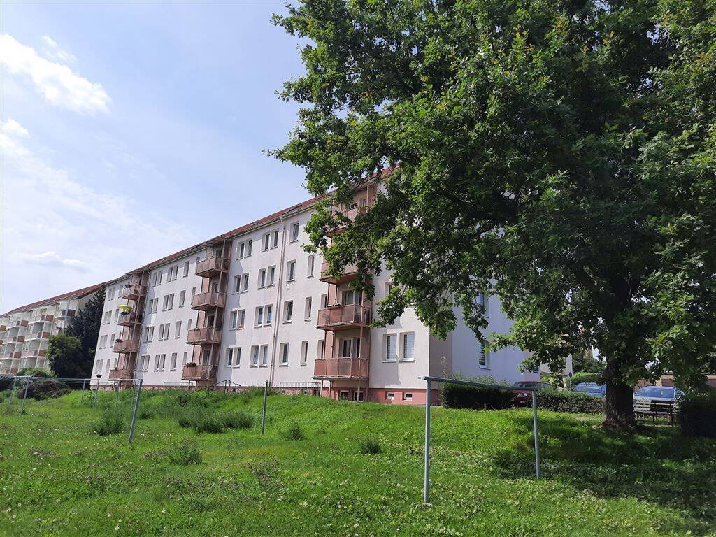 Bild 12