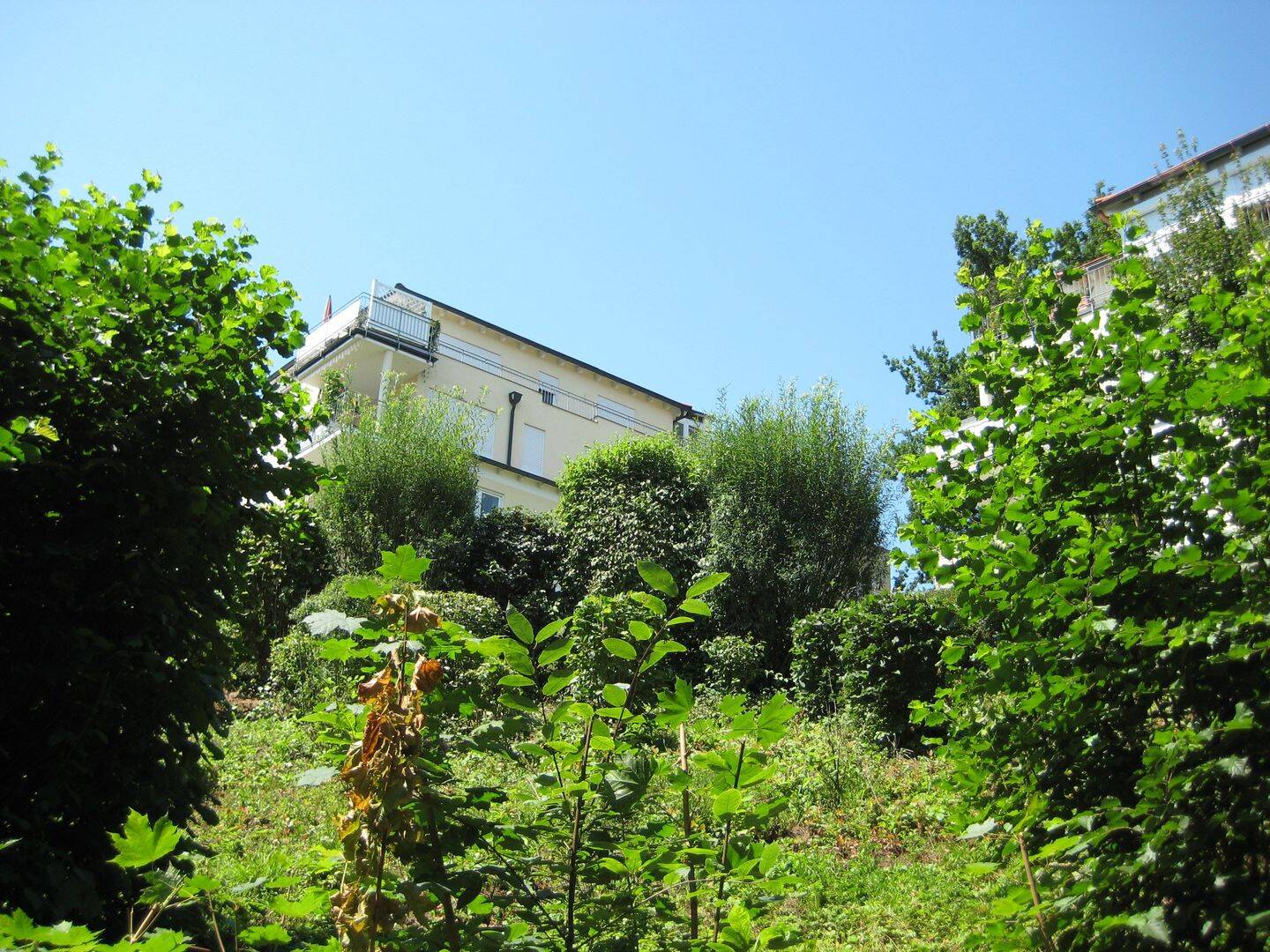 Bild 4