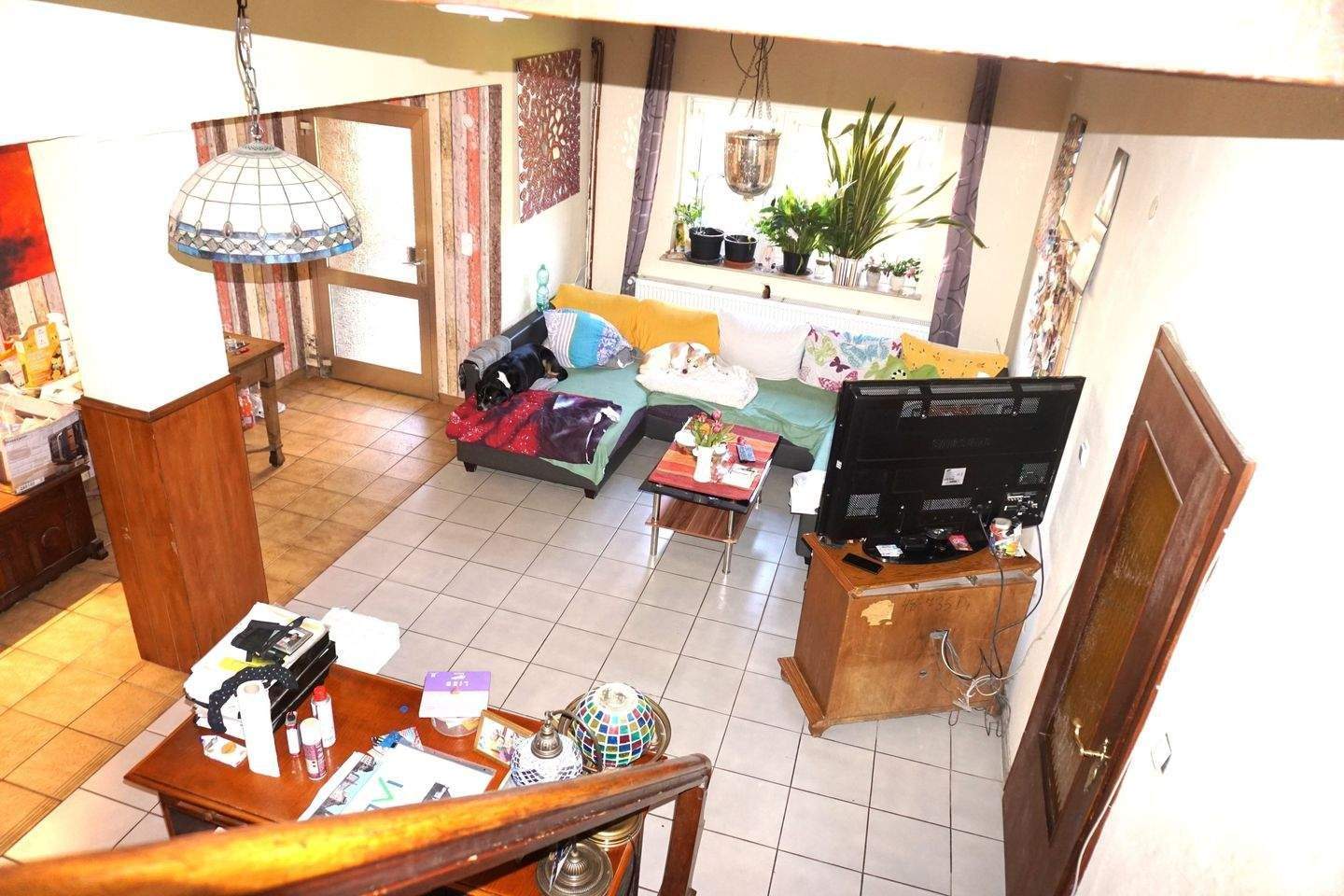 Bild 5
