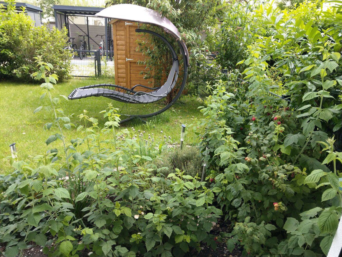 Bild 7