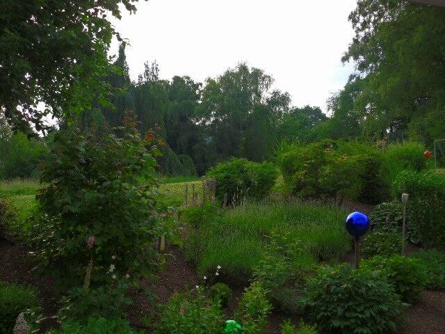 Bild 8