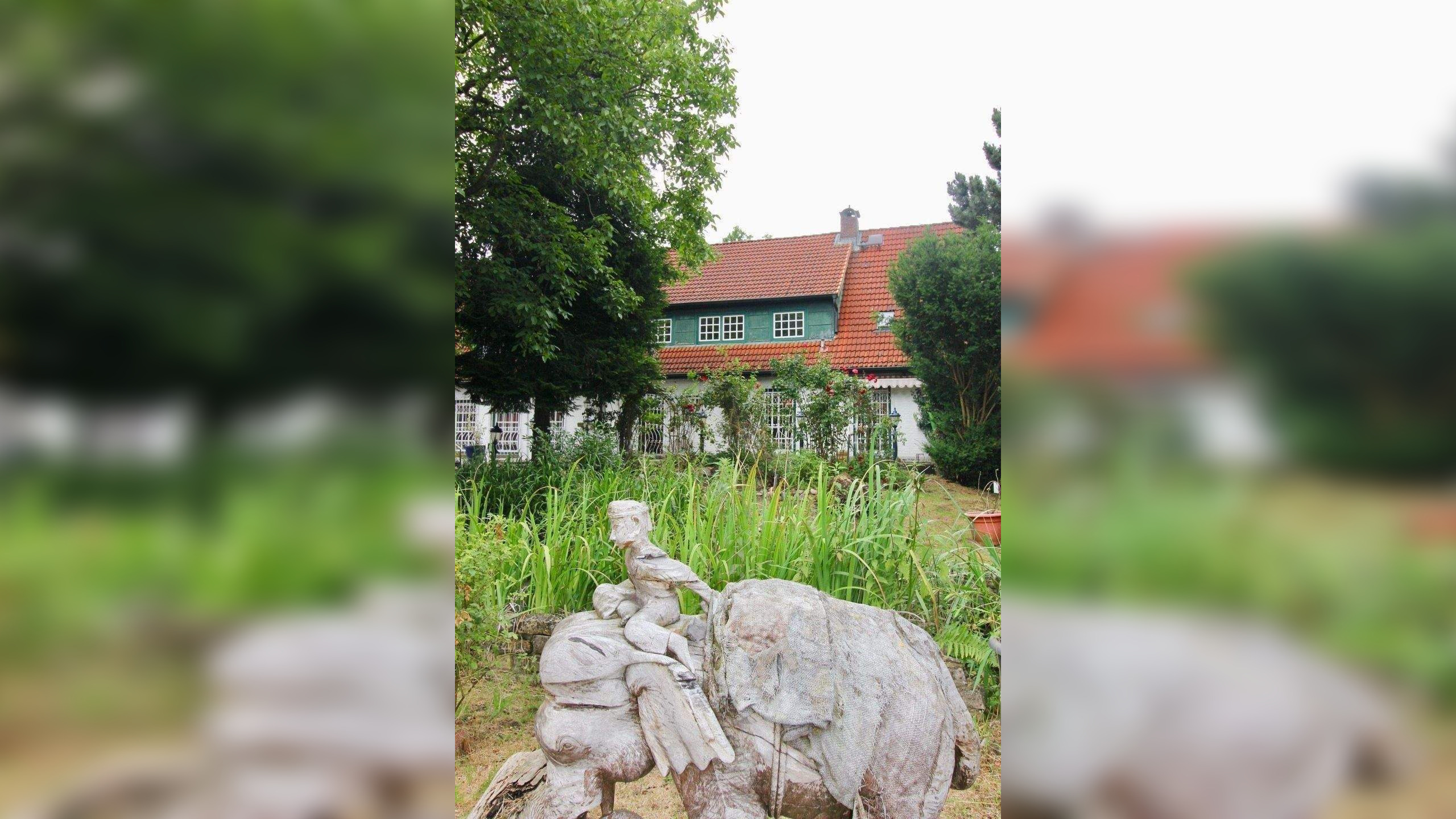Bild 7