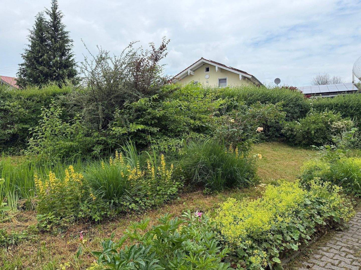 Bild 5
