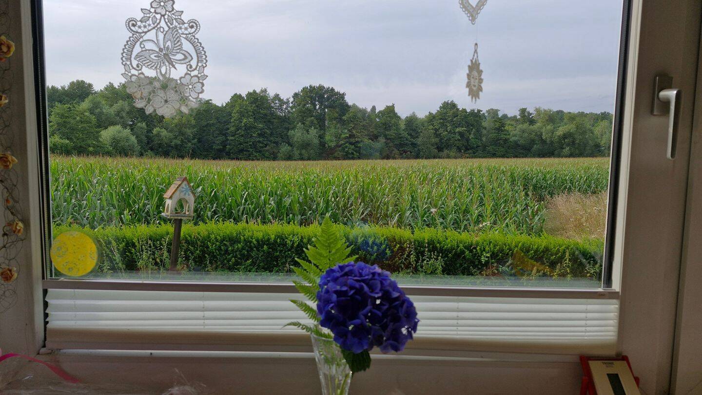 Bild 7