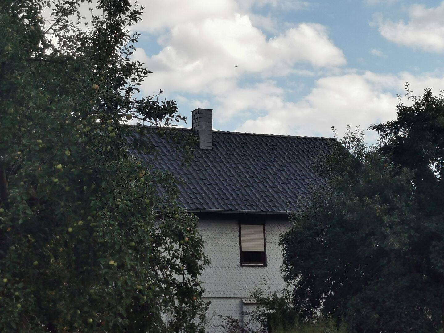 Bild 7