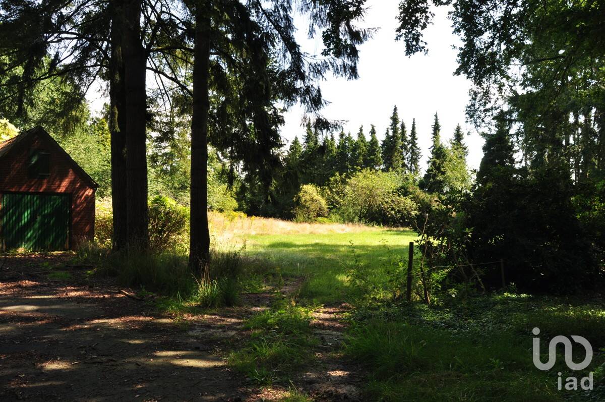Bild 11