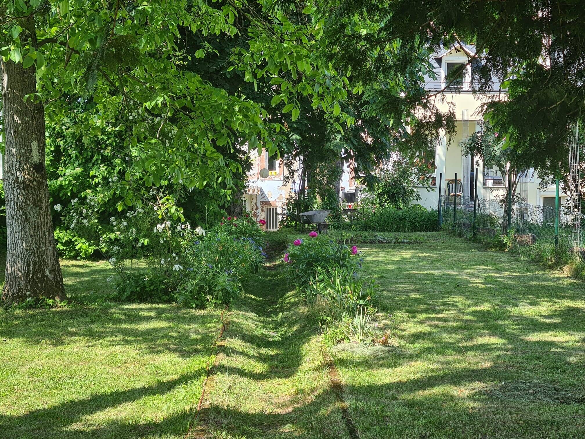 image-68401271