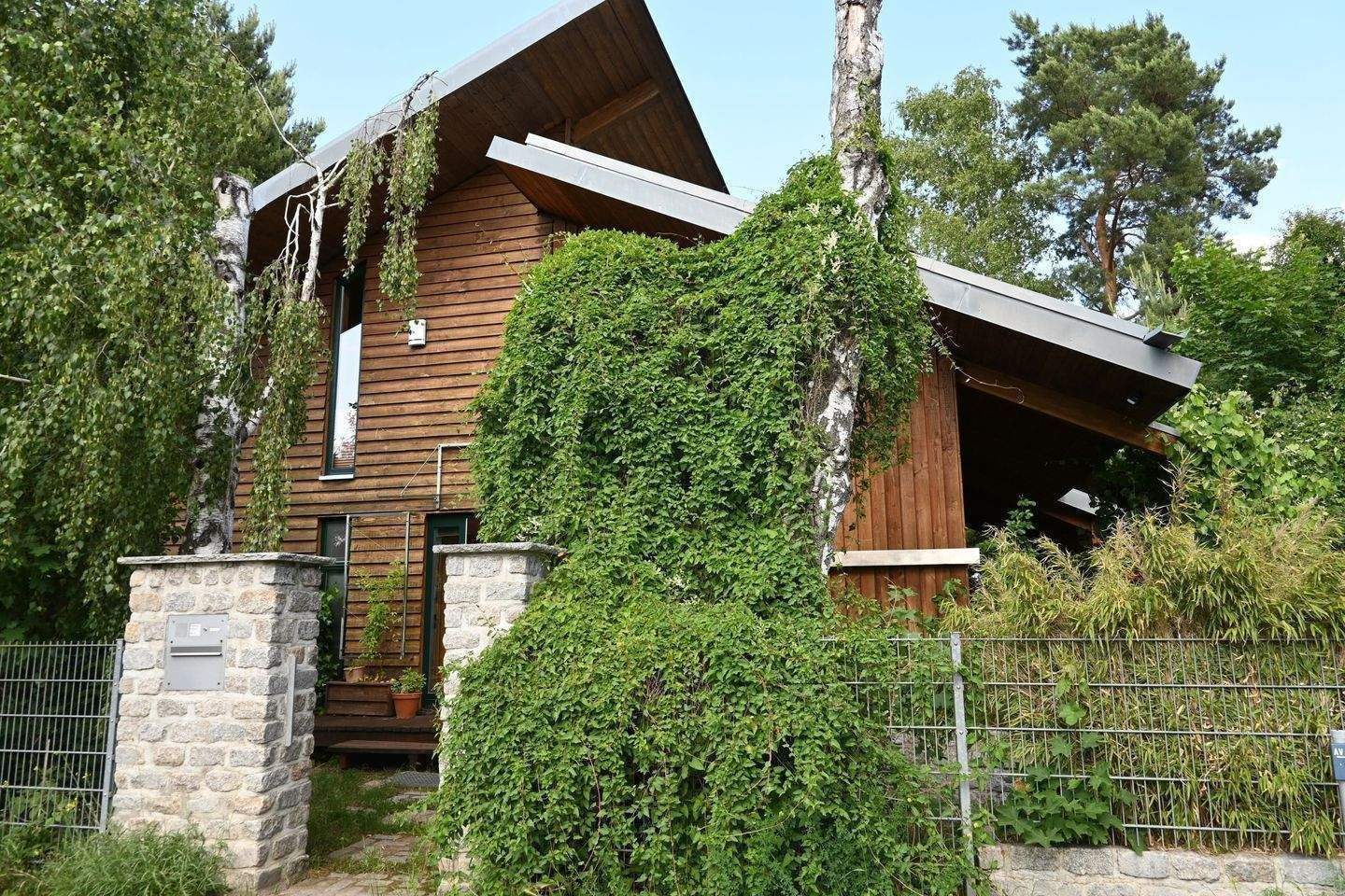Bild 5