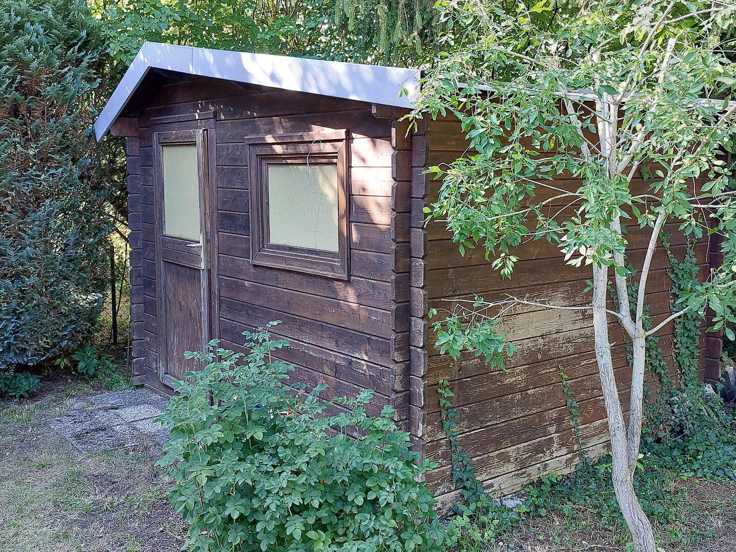 Bild 11