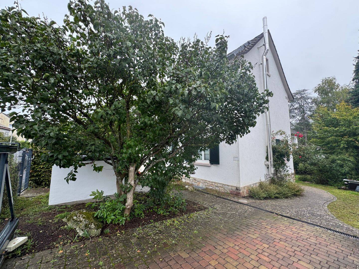 Bild 4