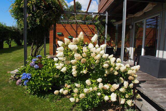 Bild 7