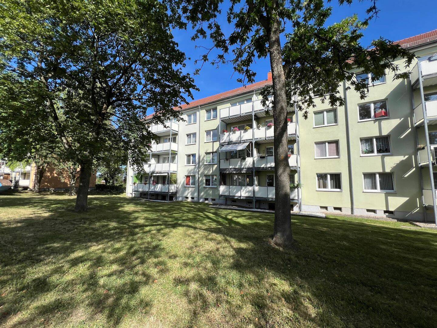 Bild 11
