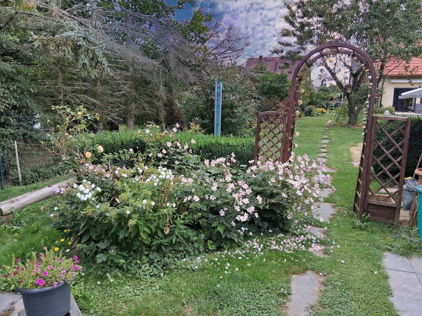 Bild 8