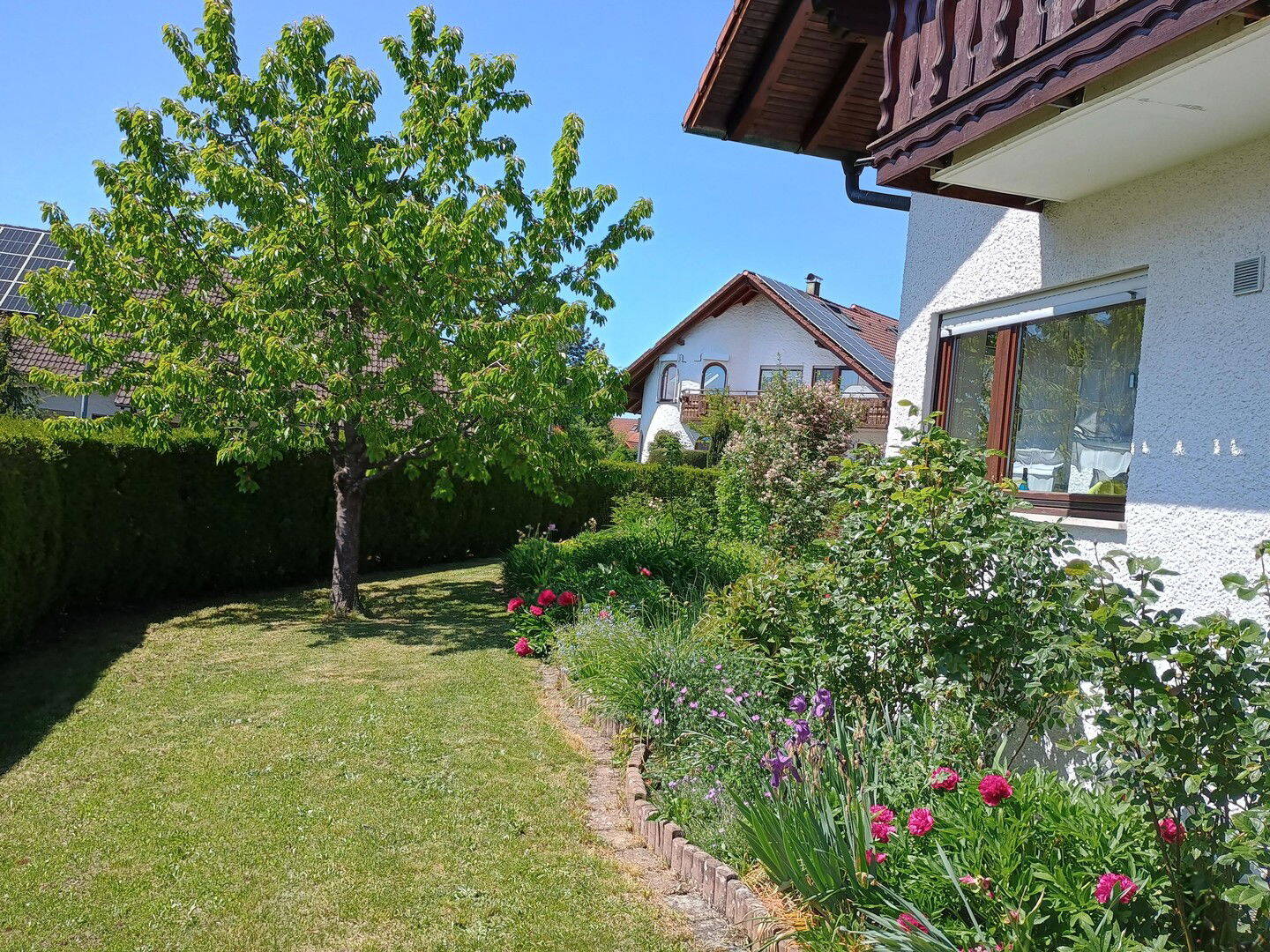 Bild 5