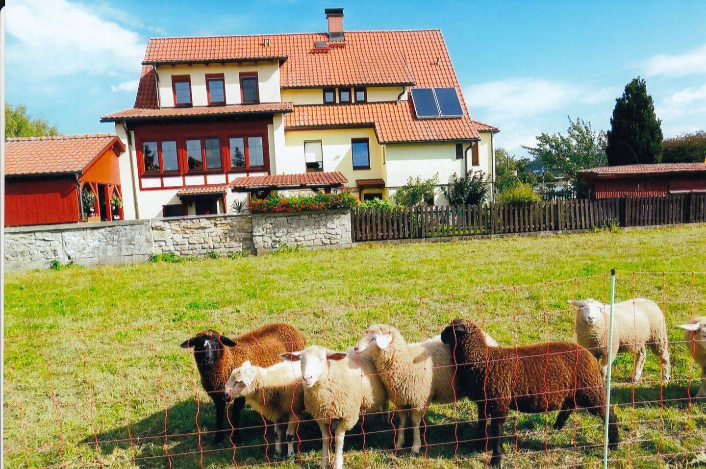 Bild 3