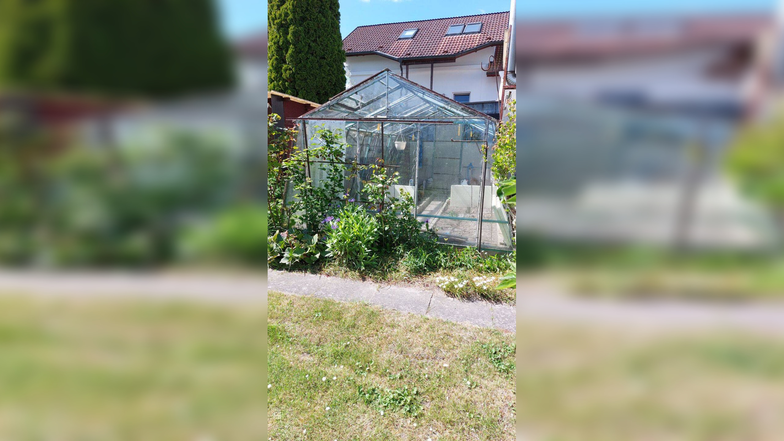 Bild 14