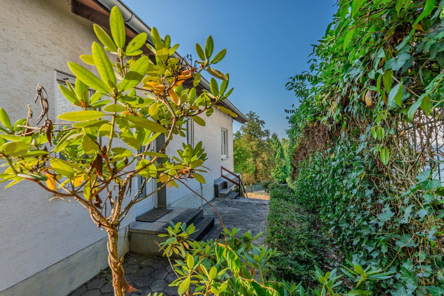 Bild 4