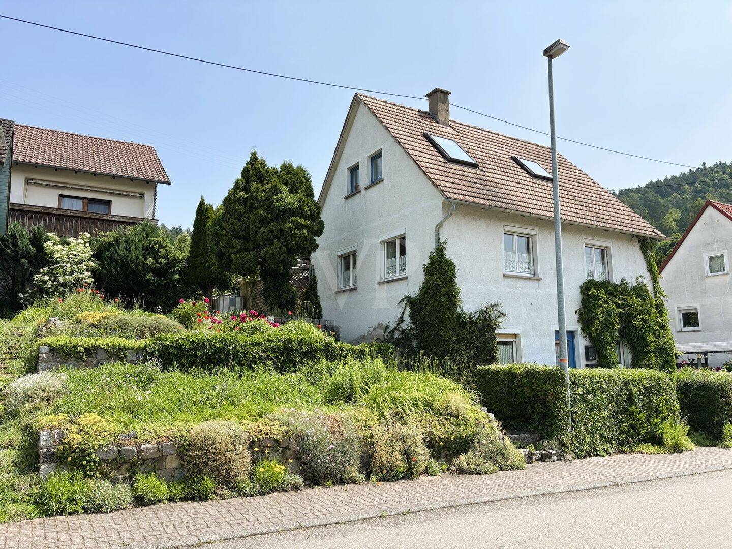 Bild 7