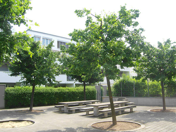 Bild 5