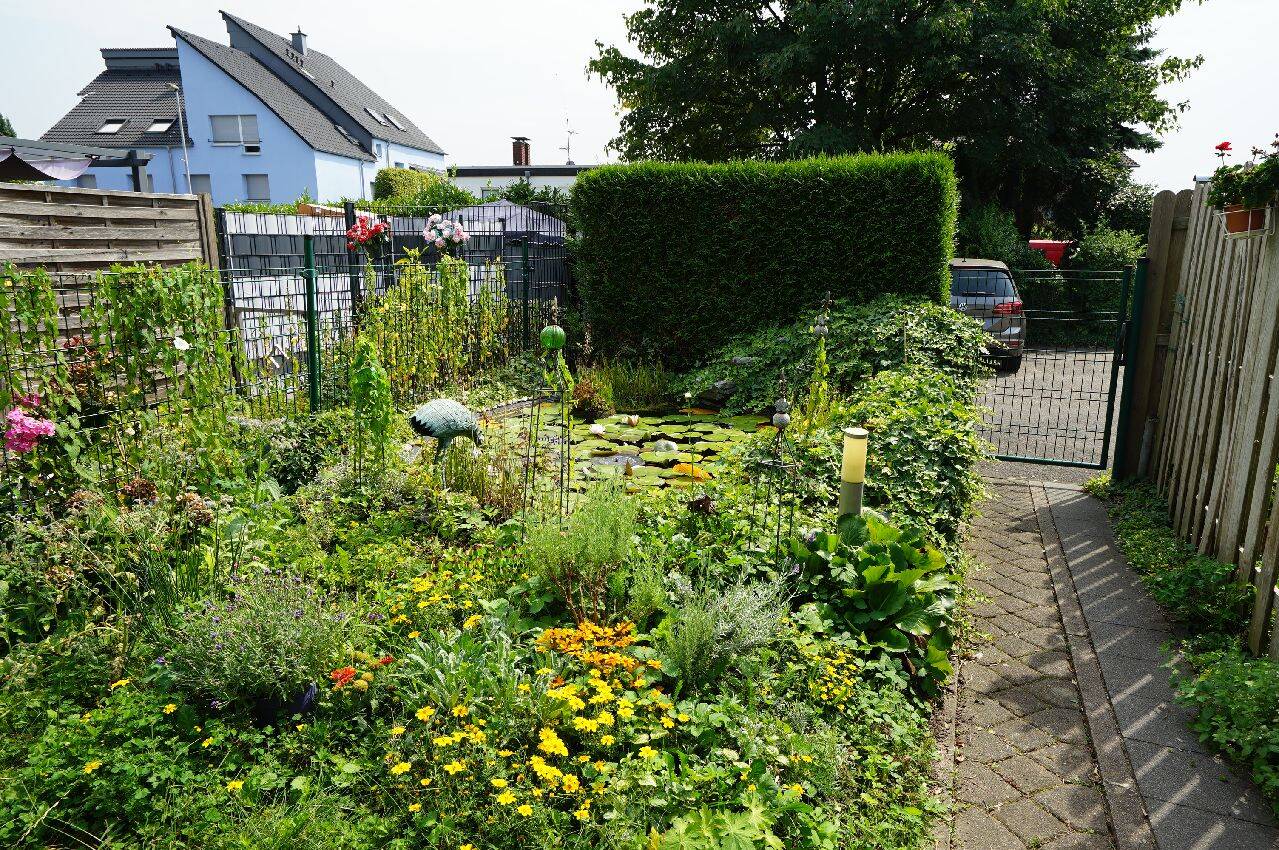 Bild 5
