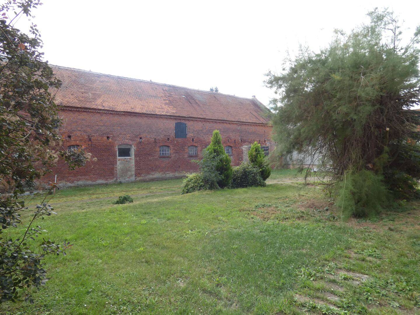Bild 7
