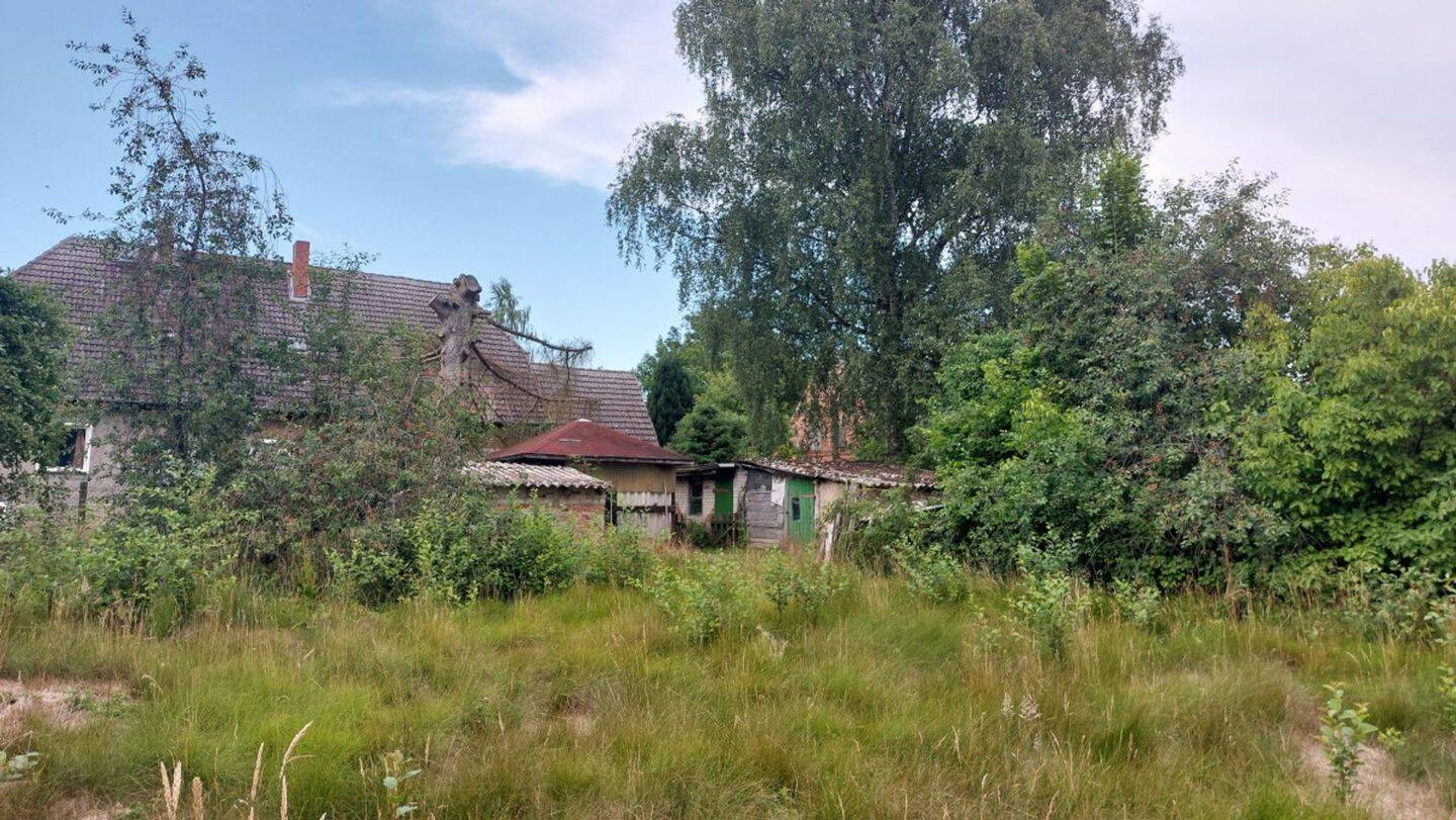 Bild 12