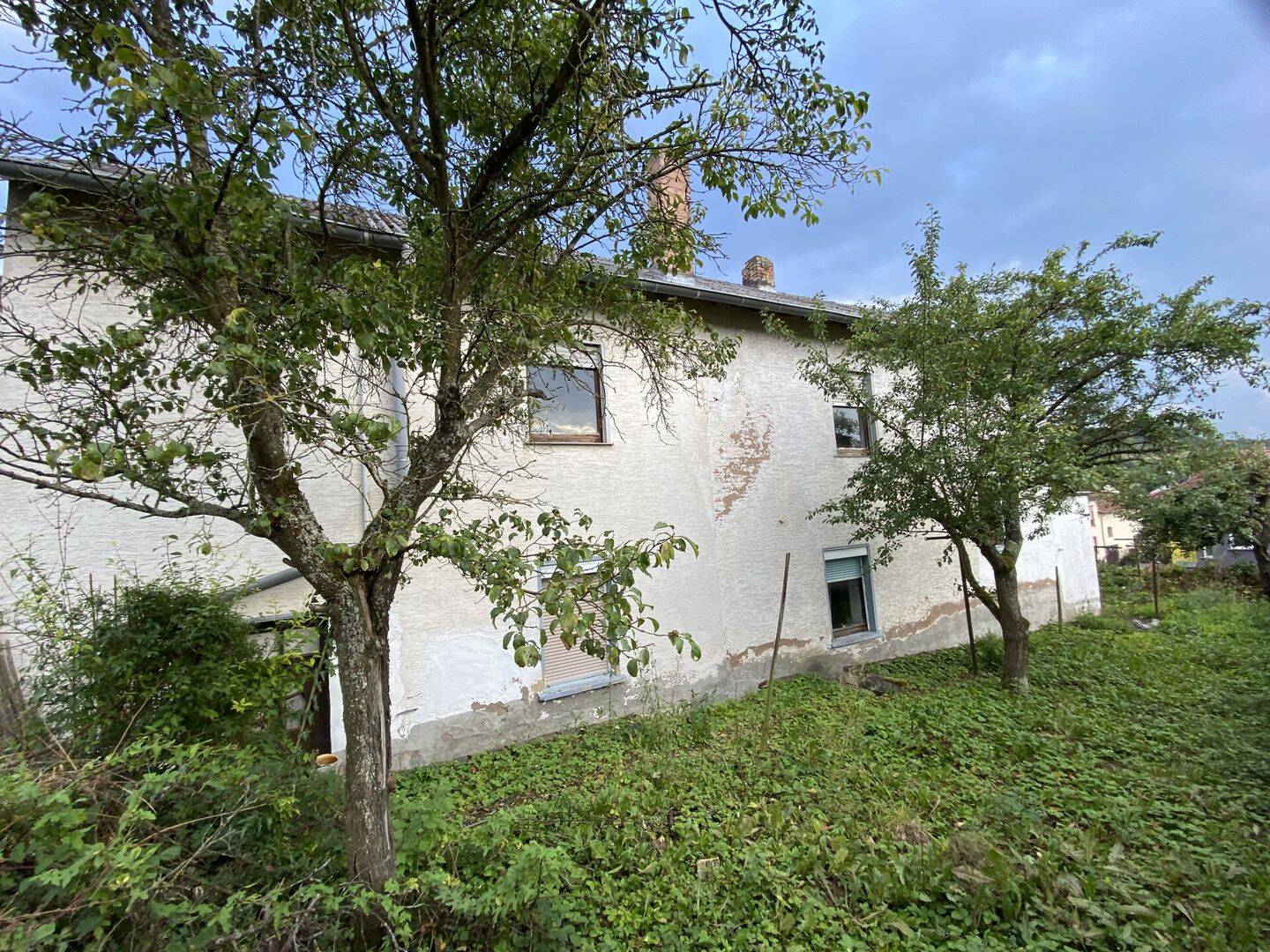 Bild 5