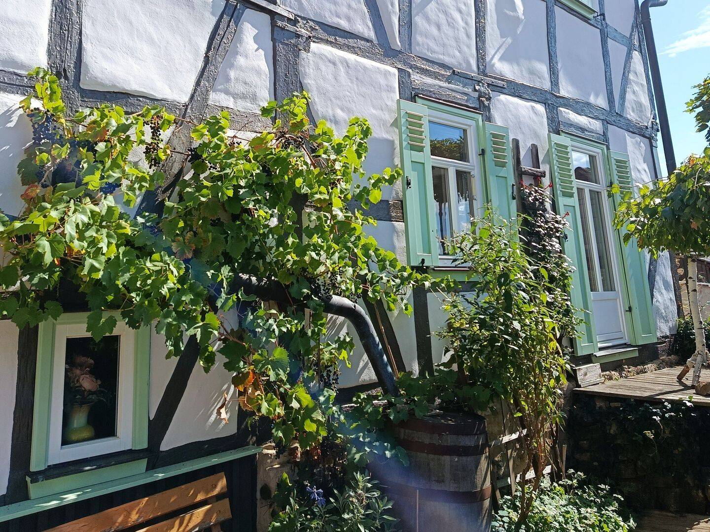 Bild 5