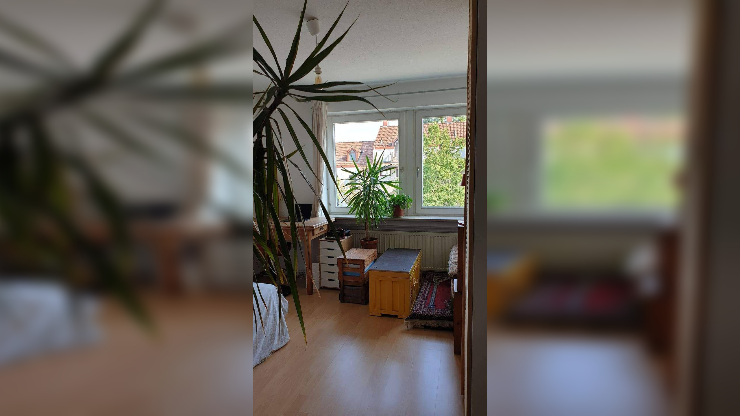Bild 7