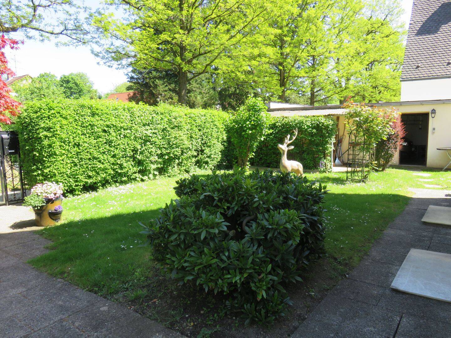 Bild 11