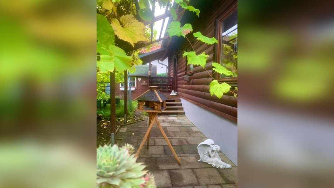 Bild 12