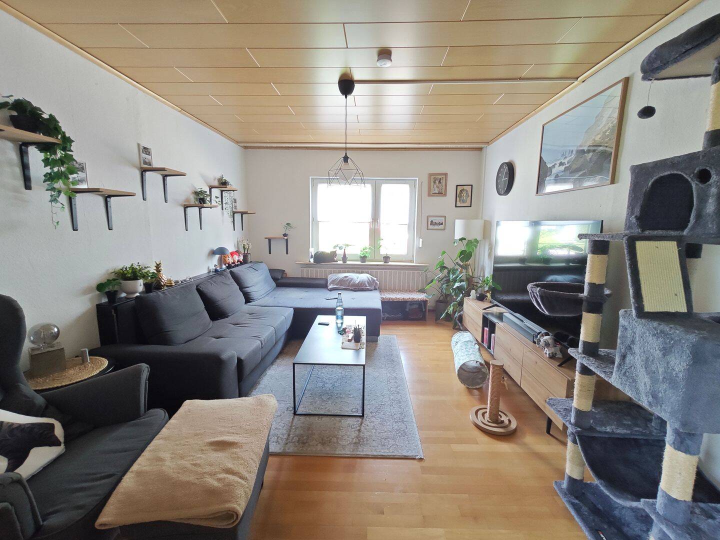 Bild 6