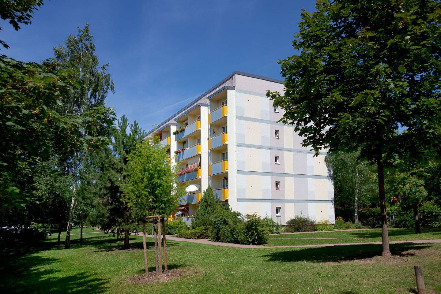 Bild 7